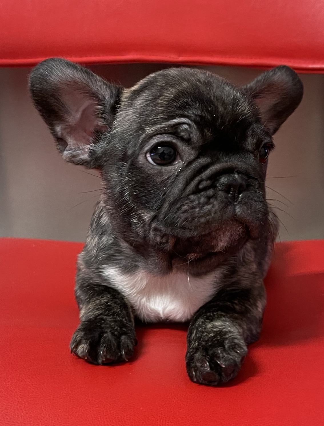 IMG_6406